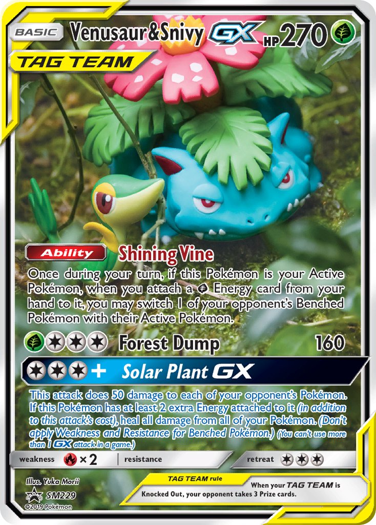 Venusaur & Snivy GX - SM229 - - SM Black Star Promo
