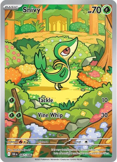 Snivy 087/086 - Black Bolt